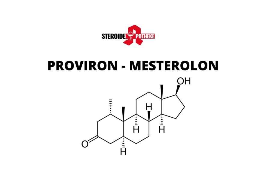 Proviron, Potenz und Testosteron: Der Zusammenhang erklärt