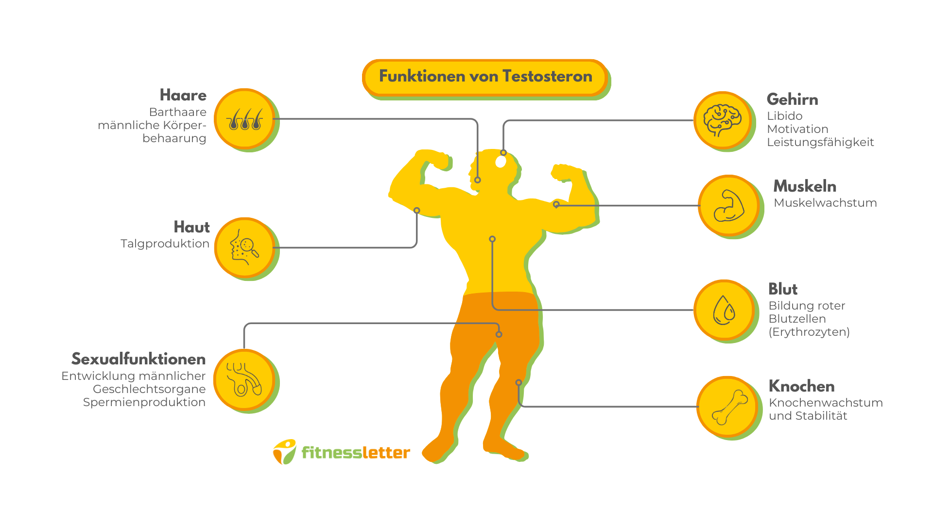 Testosteron kaufen für Fitness: Ihre Optionen und Tipps